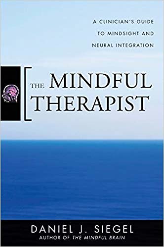 Shop & Resourses. Daniel Siegel: The Mindful Therapist 